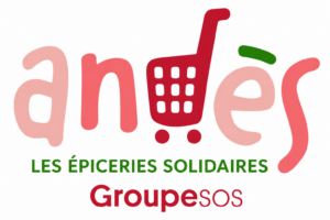Logo Andes